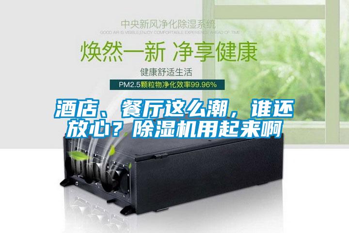 酒店、餐廳這么潮，誰還放心？除濕機用起來啊