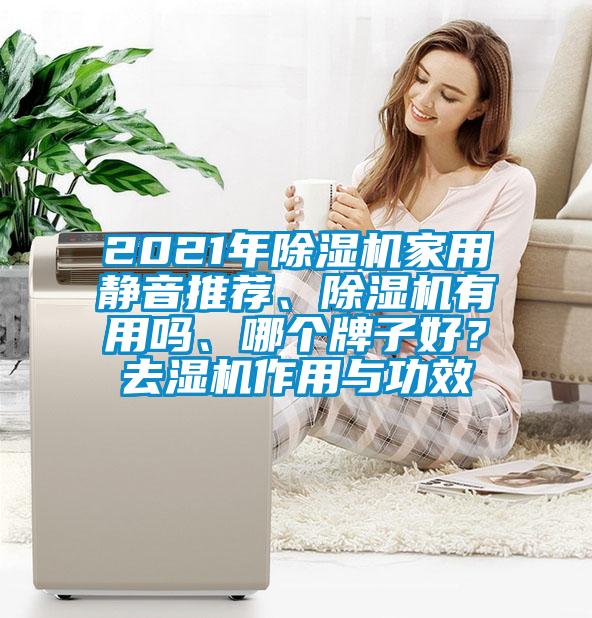 2021年除濕機家用靜音推薦、除濕機有用嗎、哪個牌子好?去濕機作用與功效