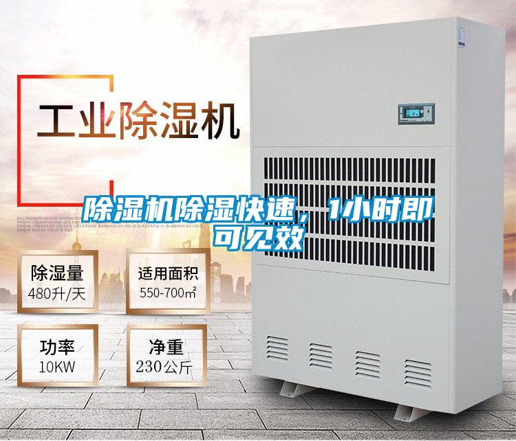 除濕機(jī)除濕快速，1小時(shí)即可見效