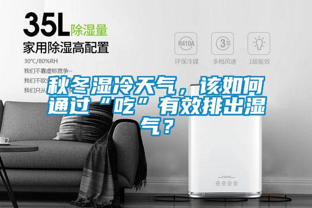 秋冬濕冷天氣,該如何通過“吃”有效排出濕氣?