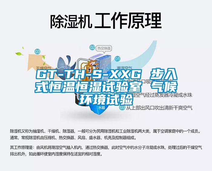 GT-TH-S-XXG 步入式恒溫恒濕試驗室 氣候環境試驗