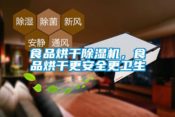 食品烘干除濕機，食品烘干更安全更衛生