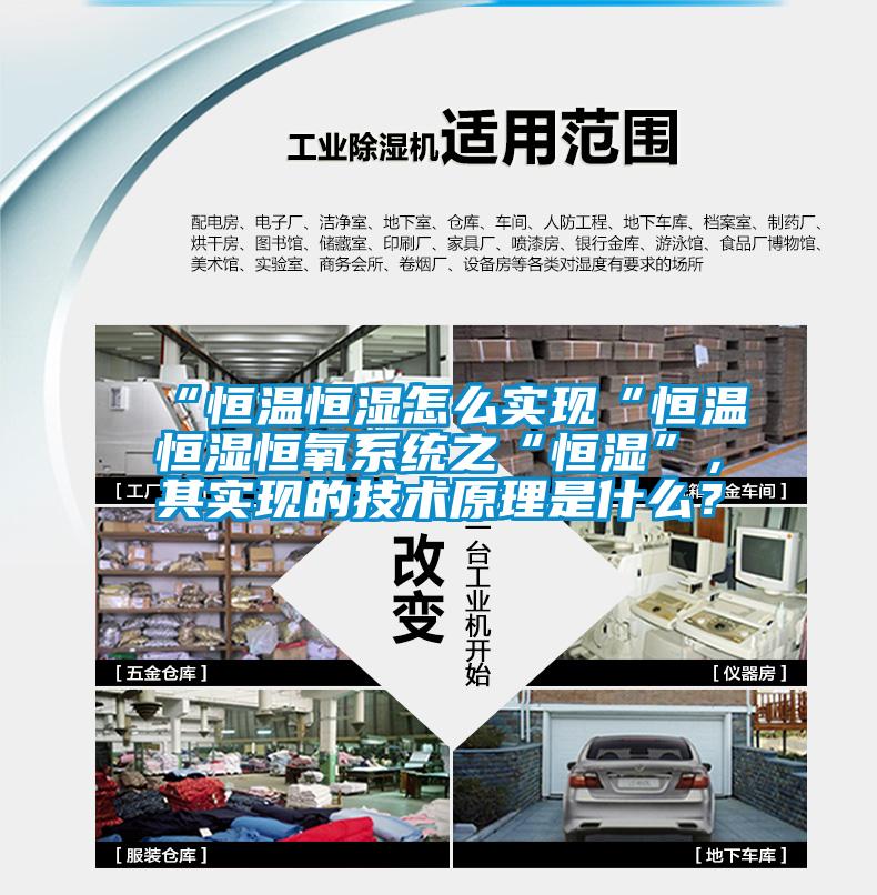 “恒溫恒濕怎么實現“恒溫恒濕恒氧系統之“恒濕”，其實現的技術原理是什么？