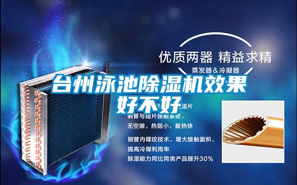 臺州泳池除濕機效果好不好