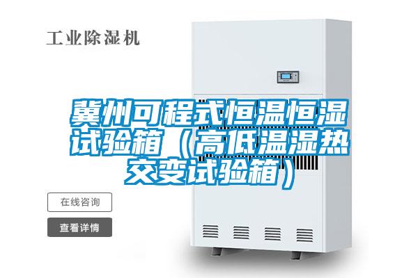 冀州可程式恒溫恒濕試驗(yàn)箱（高低溫濕熱交變?cè)囼?yàn)箱）