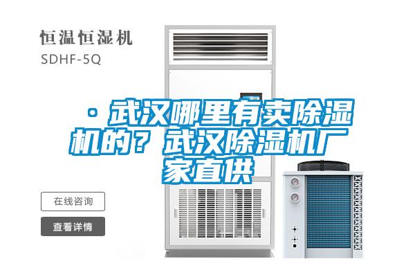 ·武漢哪里有賣除濕機的？武漢除濕機廠家直供
