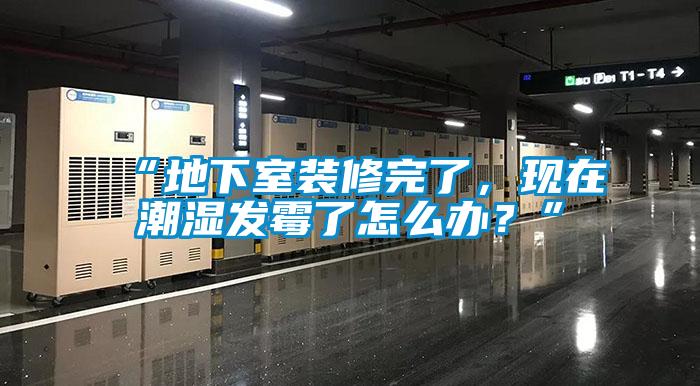 “地下室裝修完了，現在潮濕發霉了怎么辦？”