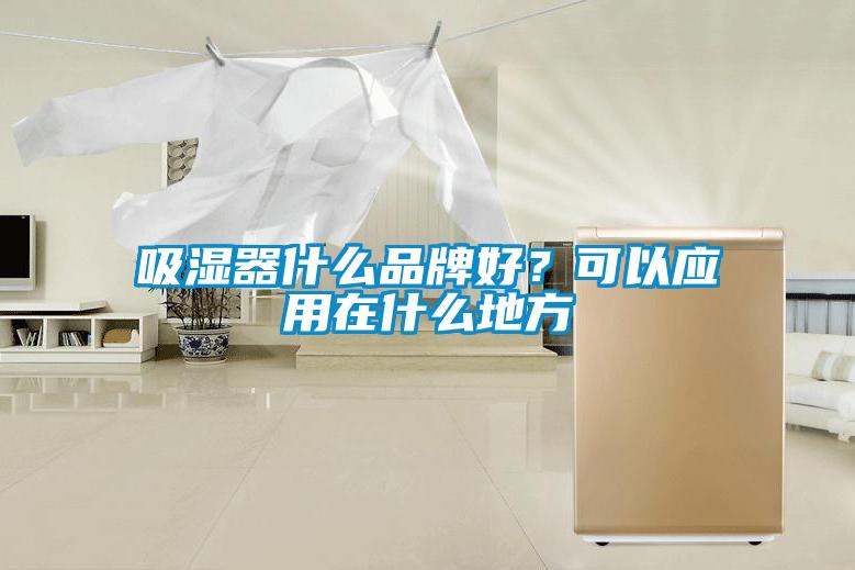 吸濕器什么品牌好?可以應用在什么地方
