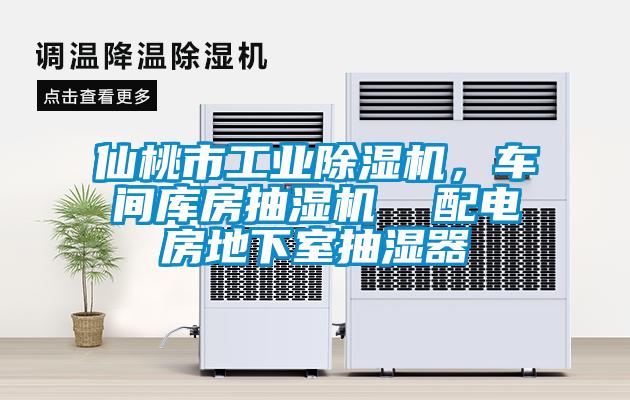 仙桃市工業(yè)除濕機,車間庫房抽濕機 配電房地下室抽濕器