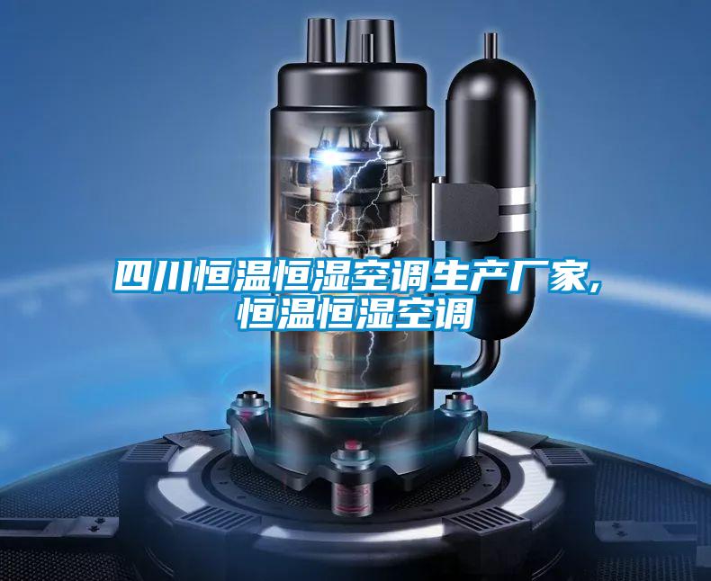 四川恒溫恒濕空調生產廠家,恒溫恒濕空調