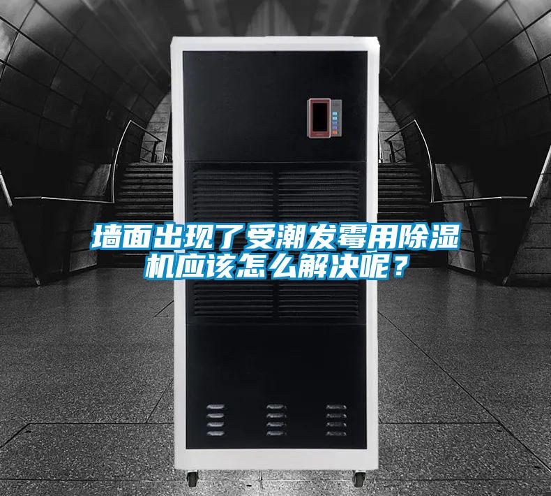 墻面出現了受潮發霉用除濕機應該怎么解決呢？