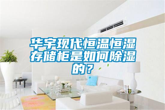 華宇現代恒溫恒濕存儲柜是如何除濕的?