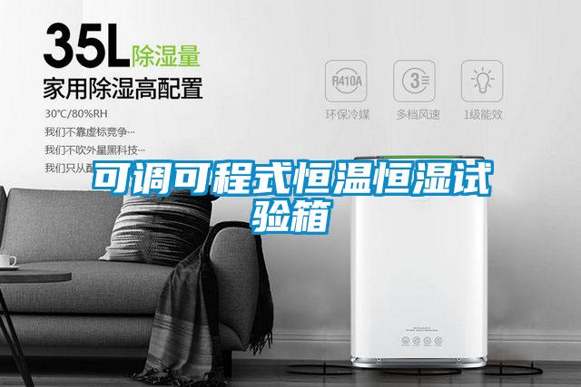 可調(diào)可程式恒溫恒濕試驗(yàn)箱