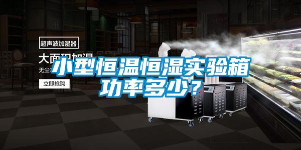 小型恒溫恒濕實驗箱功率多少?