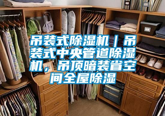 吊裝式除濕機｜吊裝式中央管道除濕機，吊頂暗裝省空間全屋除濕