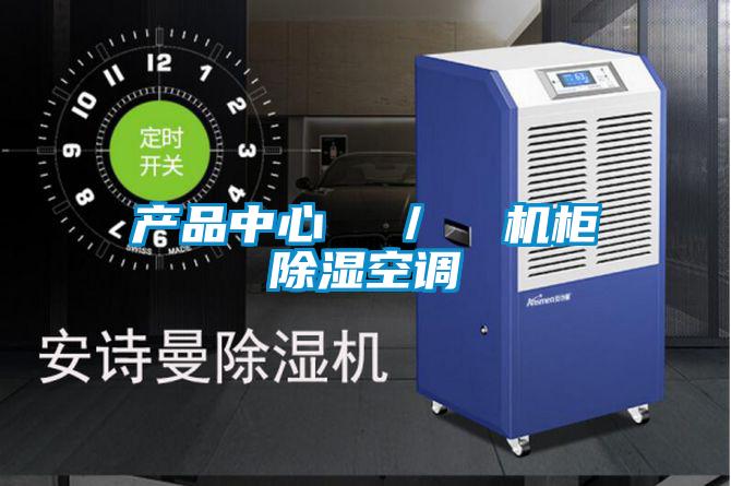 產(chǎn)品中心  ／  機柜除濕空調(diào)