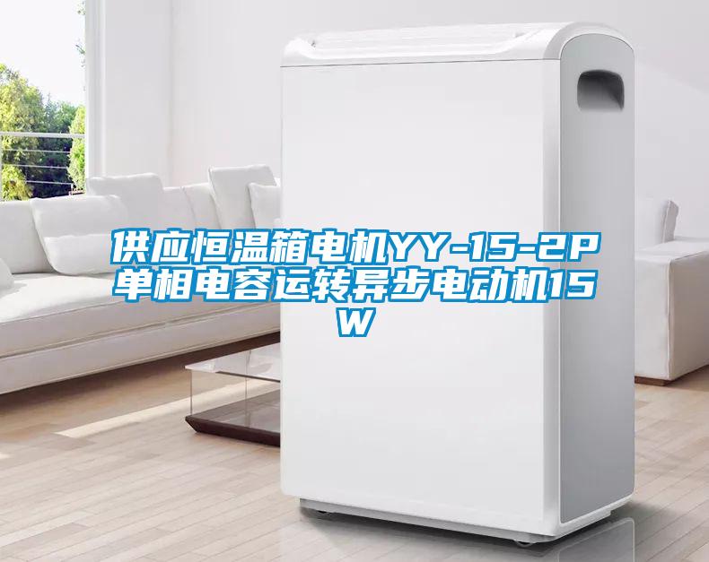 供應恒溫箱電機YY-15-2P單相電容運轉(zhuǎn)異步電動機15W