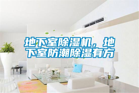 地下室除濕機(jī),地下室防潮除濕有方