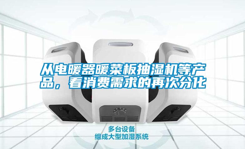 從電暖器暖菜板抽濕機(jī)等產(chǎn)品,看消費(fèi)需求的再次分化