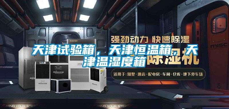天津試驗箱，天津恒溫箱，天津溫濕度箱