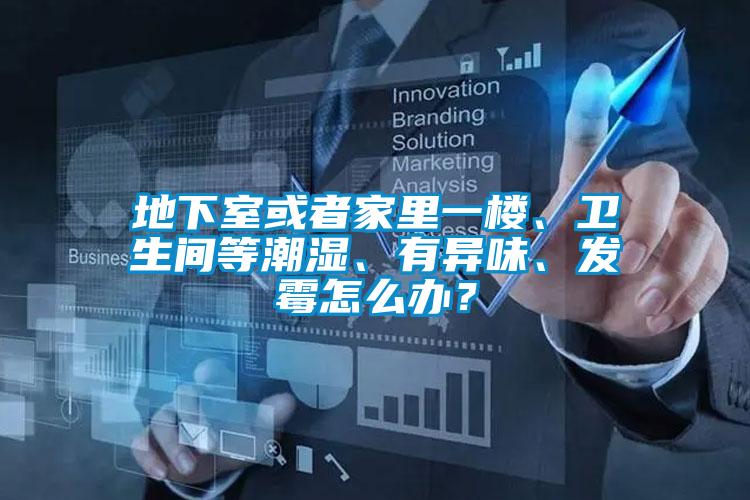 地下室或者家里一樓、衛(wèi)生間等潮濕、有異味、發(fā)霉怎么辦?