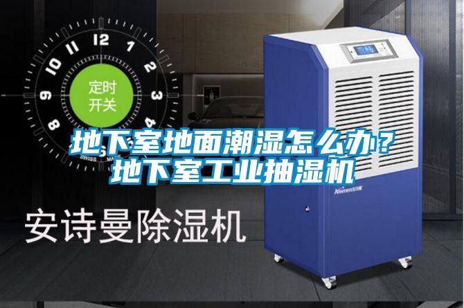 地下室地面潮濕怎么辦?地下室工業(yè)抽濕機(jī)
