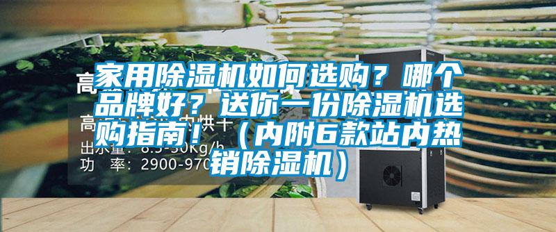家用除濕機如何選購？哪個品牌好？送你一份除濕機選購指南！（內附6款站內熱銷除濕機）