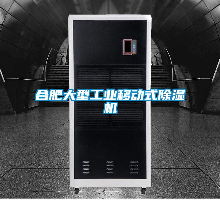 合肥大型工業(yè)移動式除濕機(jī)