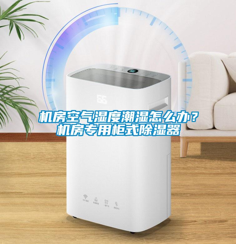 機房空氣濕度潮濕怎么辦？機房專用柜式除濕器