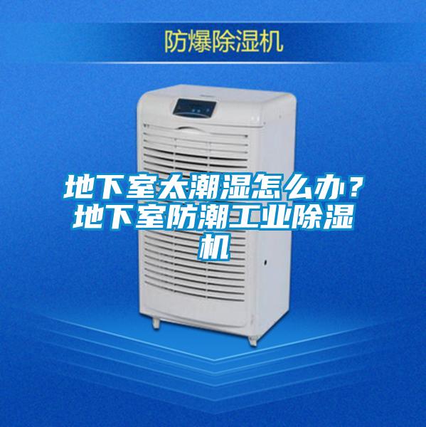 地下室太潮濕怎么辦？地下室防潮工業除濕機