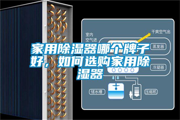家用除濕器哪個(gè)牌子好，如何選購(gòu)家用除濕器