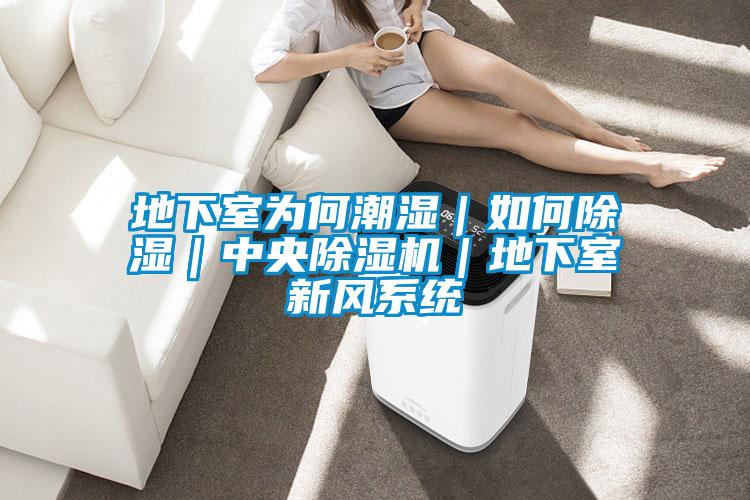 地下室為何潮濕｜如何除濕｜中央除濕機｜地下室新風系統