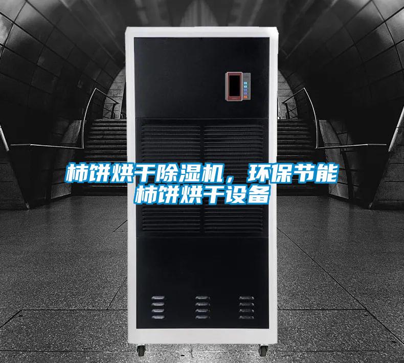 柿餅烘干除濕機(jī)，環(huán)保節(jié)能柿餅烘干設(shè)備
