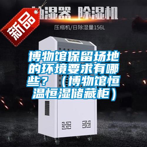 博物館保留場地的環(huán)境要求有哪些？（博物館恒溫恒濕儲(chǔ)藏柜）