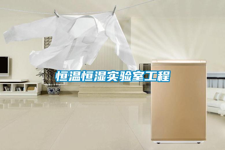 恒溫恒濕實(shí)驗(yàn)室工程