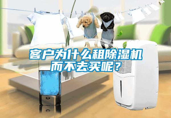 客戶為什么租除濕機而不去買呢?