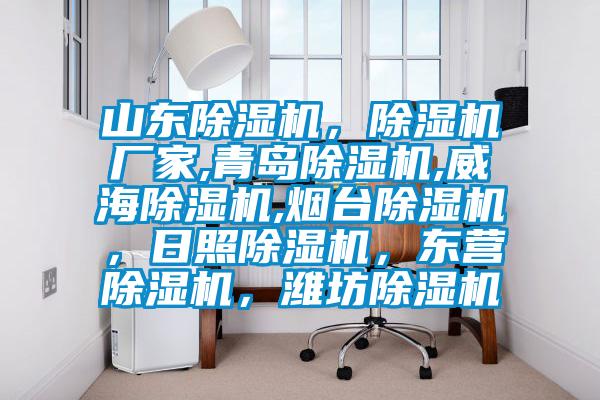 山東除濕機(jī),除濕機(jī)廠家,青島除濕機(jī),威海除濕機(jī),煙臺除濕機(jī),日照除濕機(jī),東營除濕機(jī),濰坊除濕機(jī)