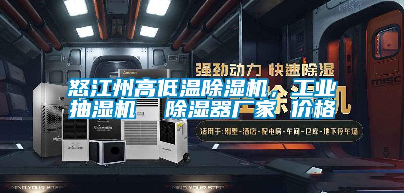 怒江州高低溫除濕機,工業(yè)抽濕機 除濕器廠家 價格