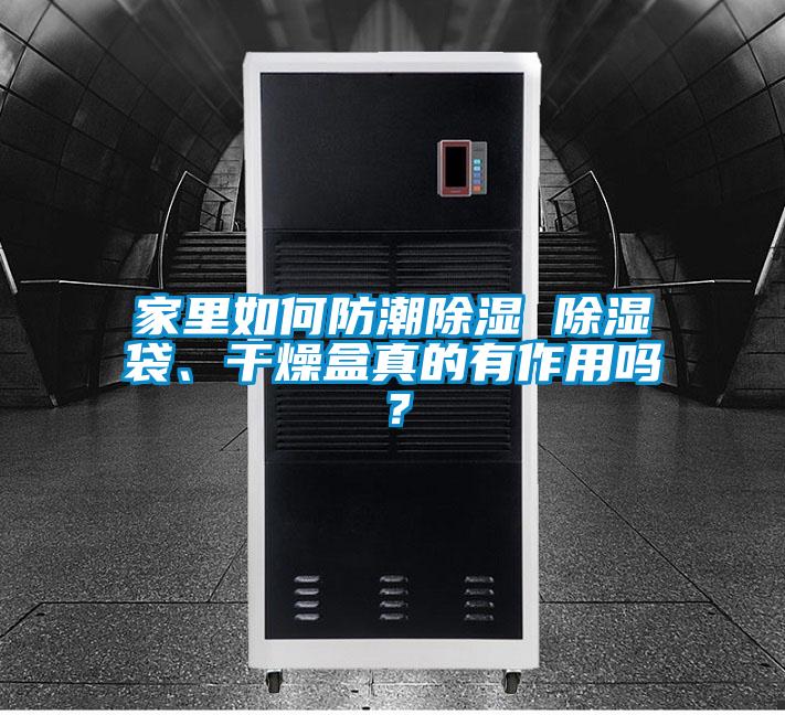 家里如何防潮除濕 除濕袋、干燥盒真的有作用嗎？
