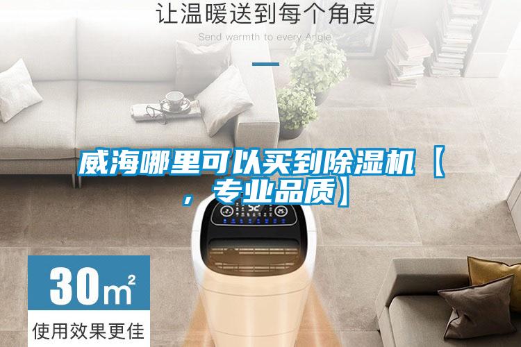 威海哪里可以買到除濕機(jī)【,專業(yè)品質(zhì)】