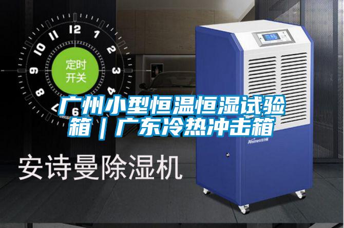 廣州小型恒溫恒濕試驗箱|廣東冷熱沖擊箱