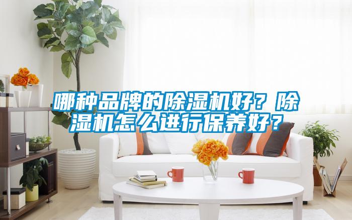 哪種品牌的除濕機好?除濕機怎么進行保養好?