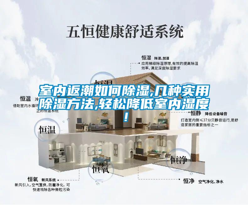 室內返潮如何除濕,幾種實用除濕方法,輕松降低室內濕度！