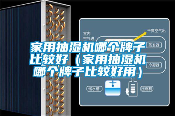 家用抽濕機(jī)哪個(gè)牌子比較好(家用抽濕機(jī)哪個(gè)牌子比較好用)