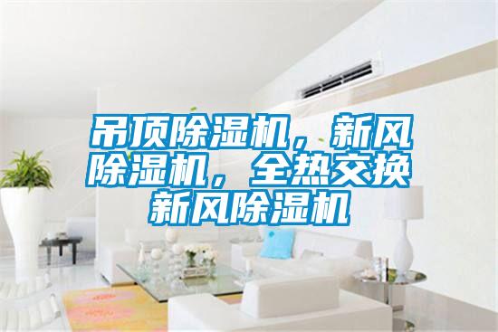 吊頂除濕機，新風除濕機，全熱交換新風除濕機