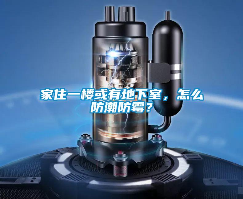 家住一樓或有地下室，怎么防潮防霉？