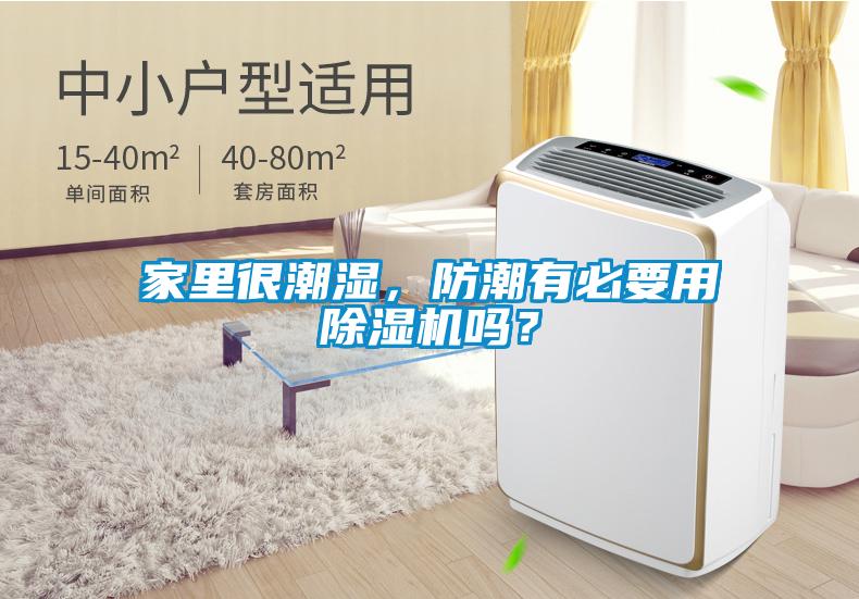 家里很潮濕，防潮有必要用除濕機嗎？