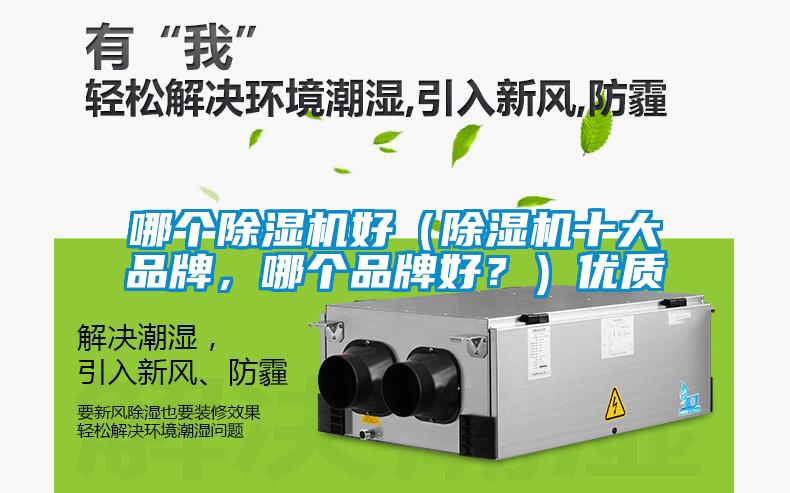 哪個除濕機好(除濕機十大品牌,哪個品牌好?)優質