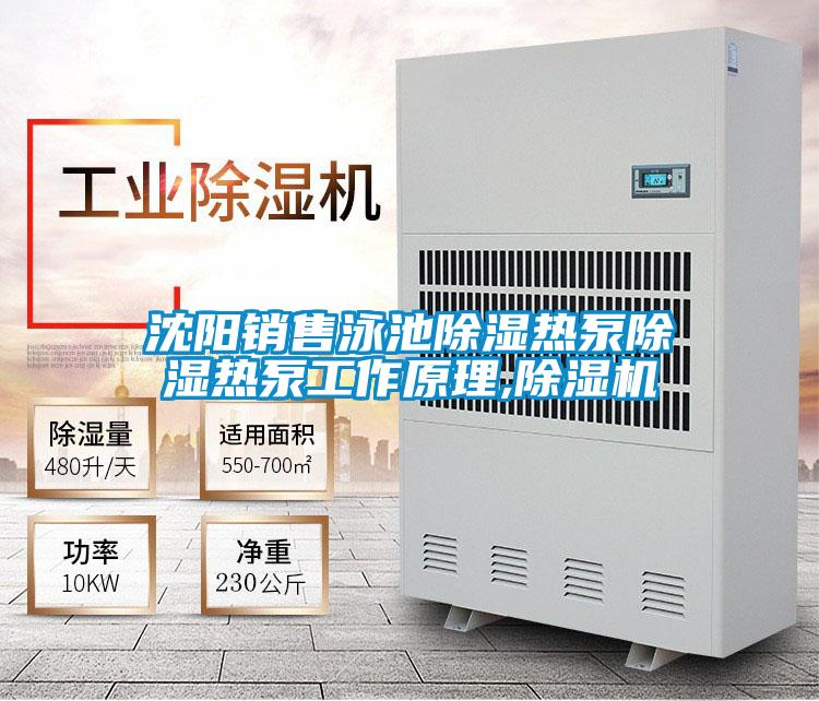 沈陽(yáng)銷(xiāo)售泳池除濕熱泵除濕熱泵工作原理,除濕機(jī)