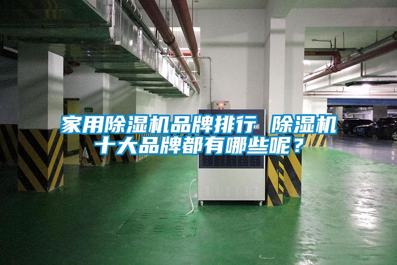 家用除濕機(jī)品牌排行 除濕機(jī)十大品牌都有哪些呢?